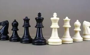 Детский шахматный турнир в школе на новорижском шоссе